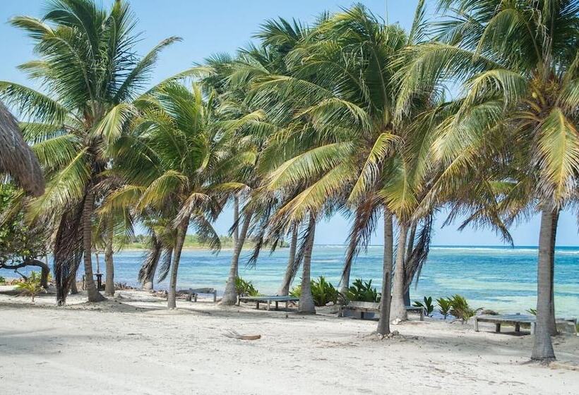 酒店 Cabañas Ecoturisticas Costa Maya
