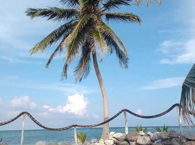 酒店 Cabañas Ecoturisticas Costa Maya