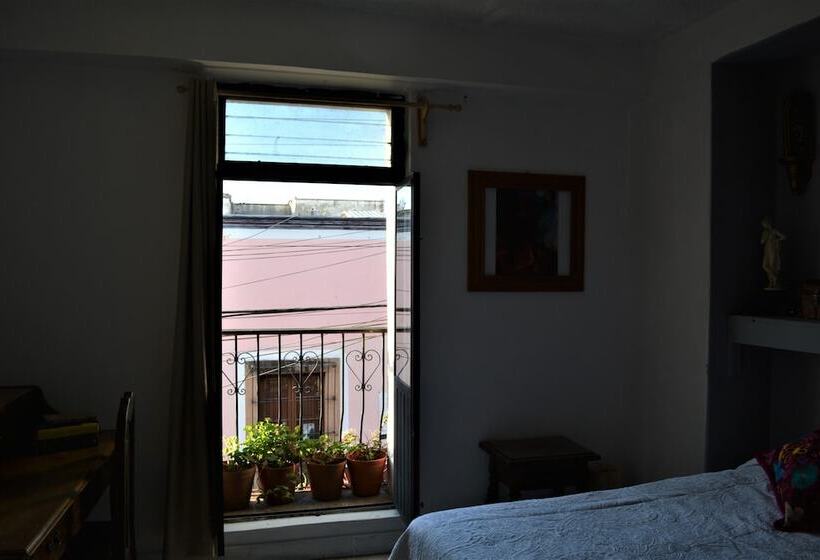 فندق Casa Marfil   Hostel