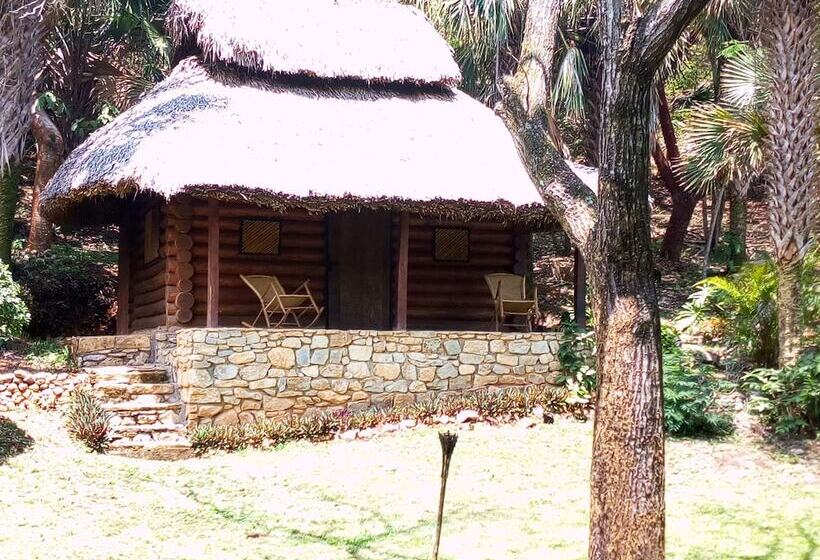 בית מלון כפרי Room In Lodge   Sierraverde Cabin Cabaña El Cedro
