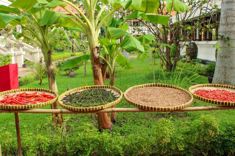 هتل Cassia Cottage Resort And Spa