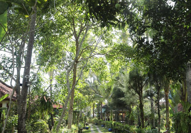 هتل Cassia Cottage Resort And Spa