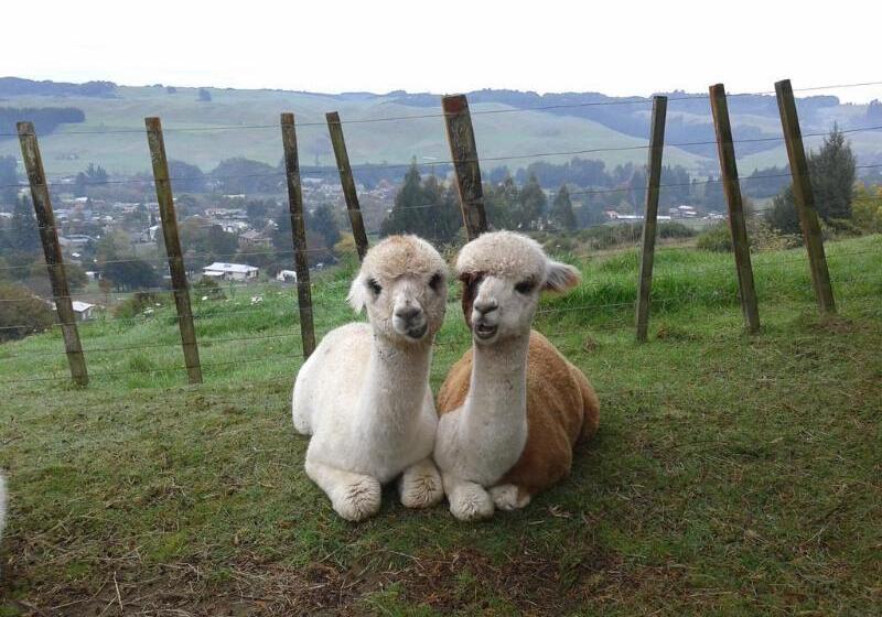 Отель City Lights Boutique Lodge