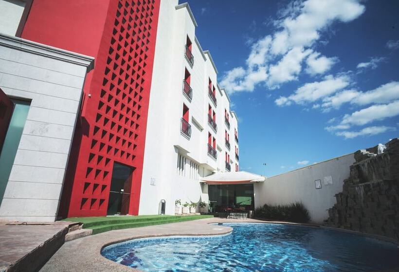 酒店 Colon Plaza Business Class