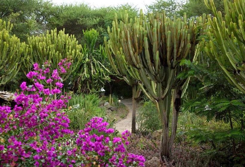 Отель Kia Lodge