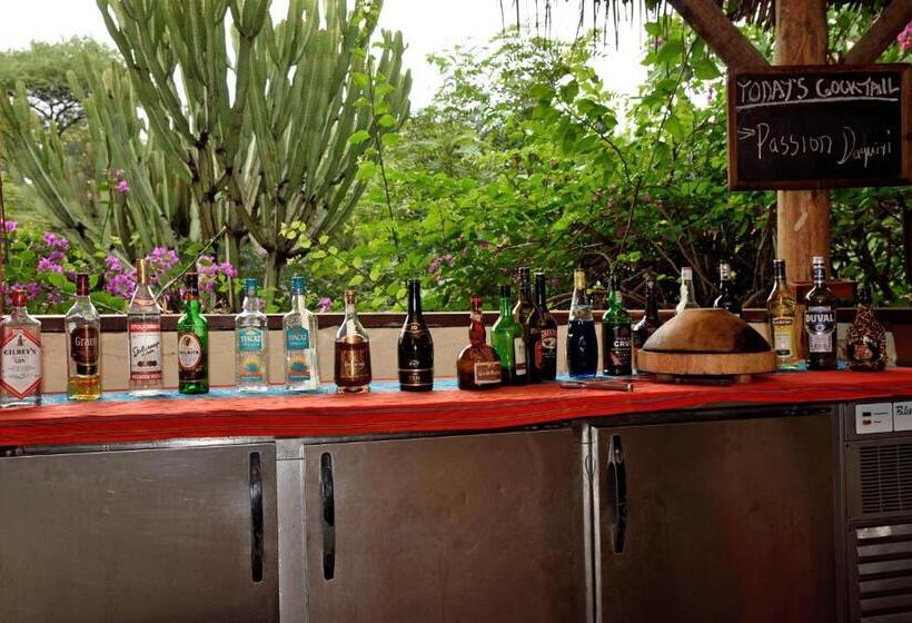 Отель Kia Lodge