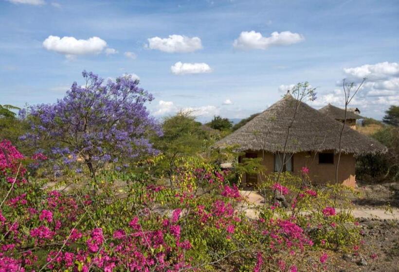 Отель Kia Lodge