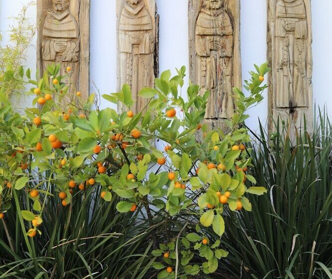 Отель La Casa Del Atrio