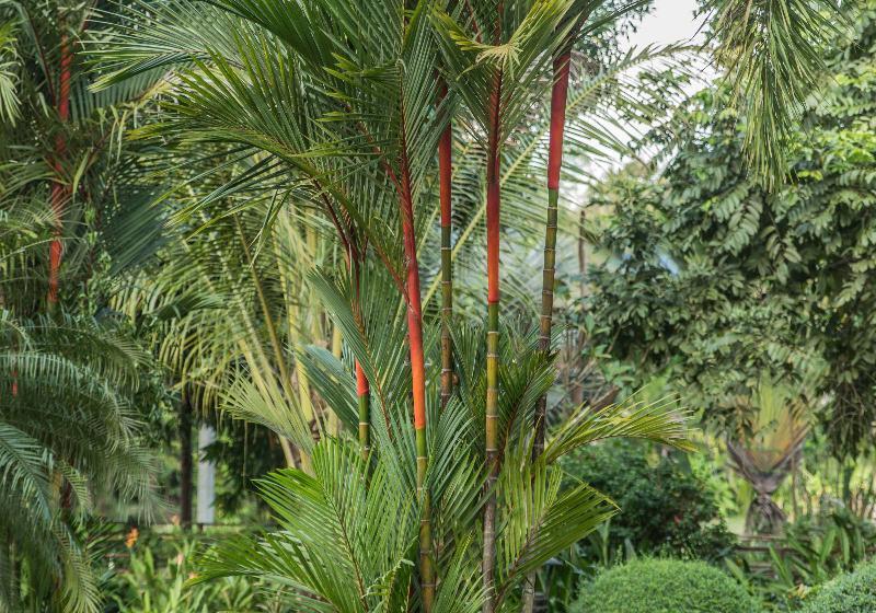 בית מלון כפרי La Folie Lodge