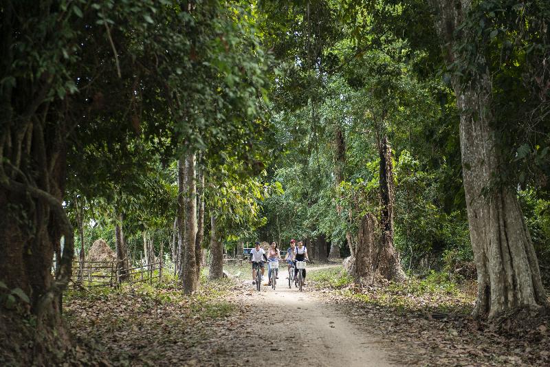 בית מלון כפרי La Folie Lodge