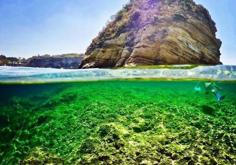 酒店 La Suite Boutique