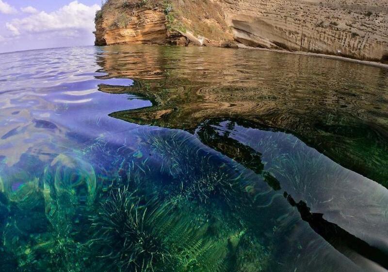 酒店 La Suite Boutique