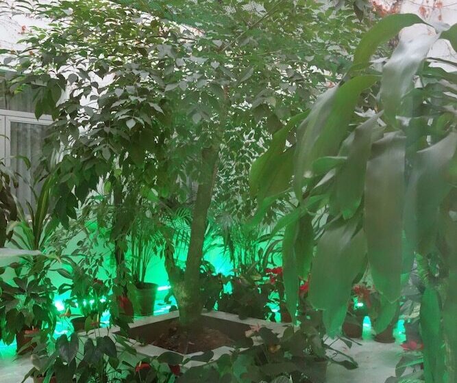 هتل Macau Masters