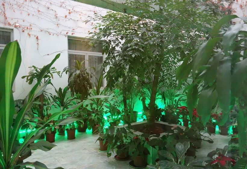 هتل Macau Masters