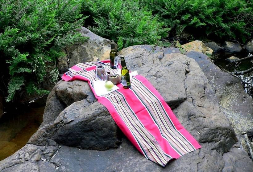 בית מלון כפרי Mashovhela Bush Lodge