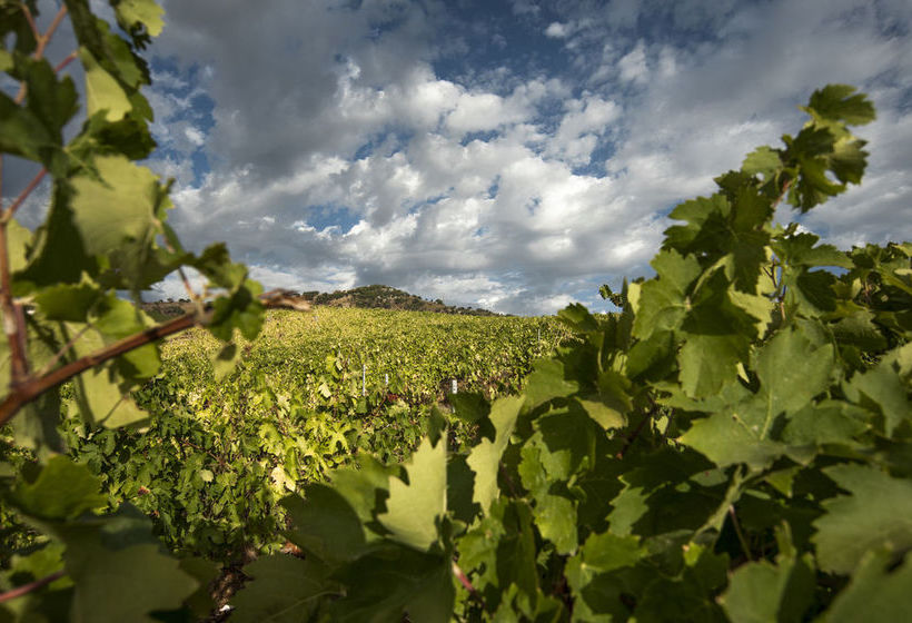 교외 호텔 Agrirelais Baglio Di Pianetto