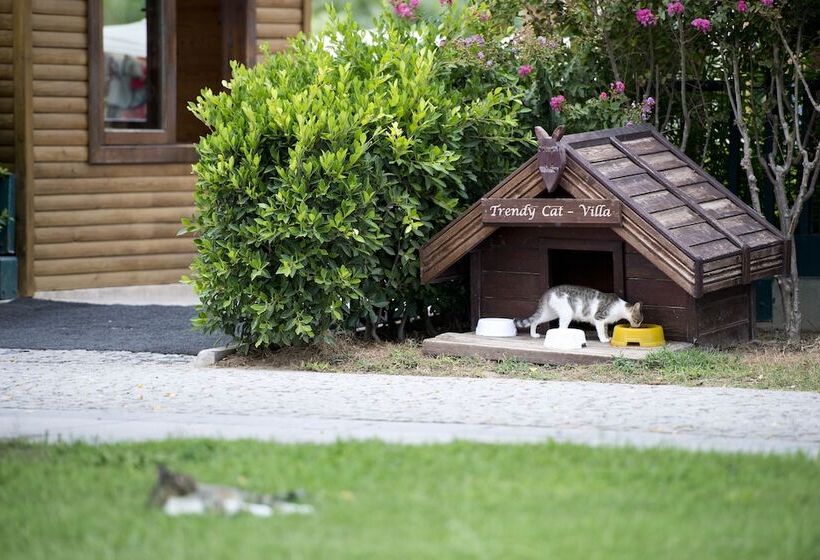 Отель Sentido Trendy Verbena Beach