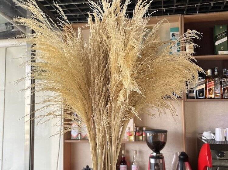 酒店 Swiss Lenana Mount