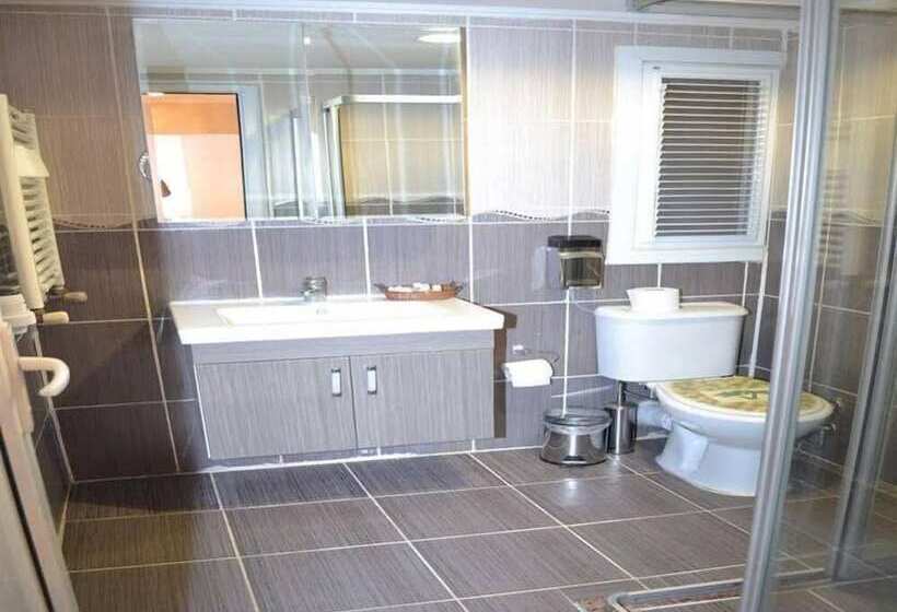 ユースホステル Big Apple