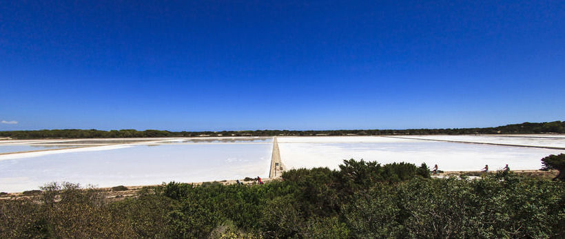 Sa Revista Formentera Mar