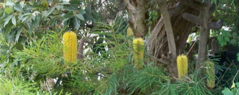 The Open House  Bed & Breakfast