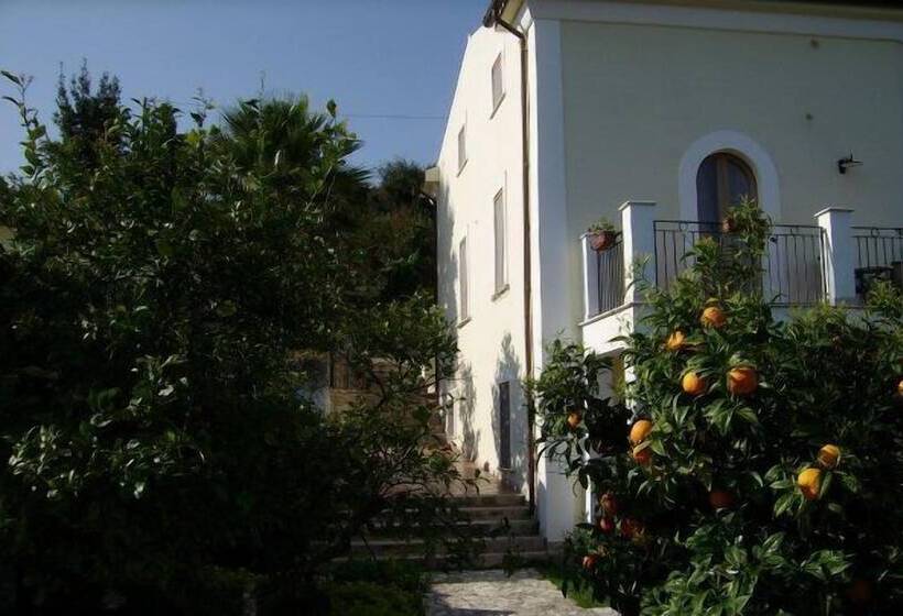 Отель Albergo Villa Vittoria