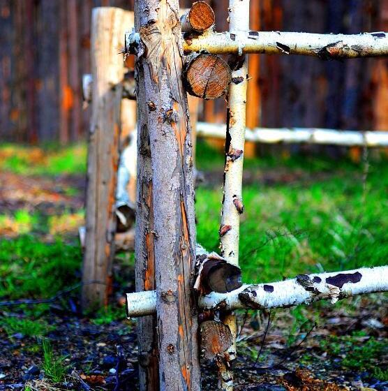 בית מלון כפרי Arkadia