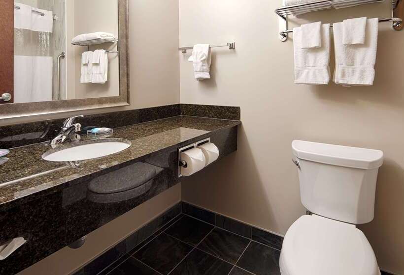 فندق Best Western Plus Brandon Inn