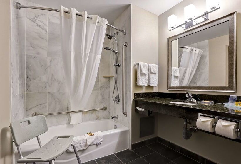 فندق Best Western Plus Brandon Inn