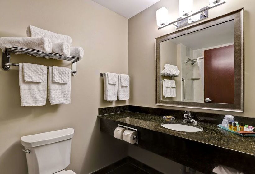 فندق Best Western Plus Brandon Inn