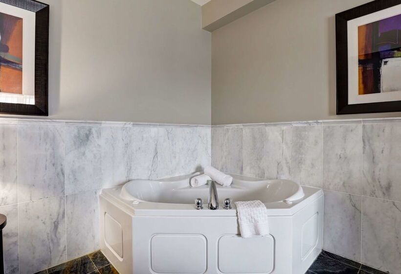 فندق Best Western Plus Brandon Inn