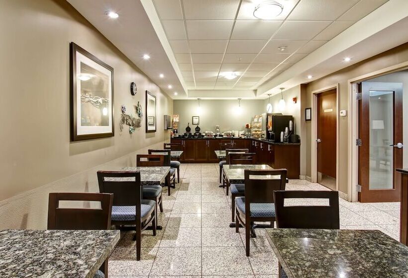 فندق Best Western Plus Brandon Inn