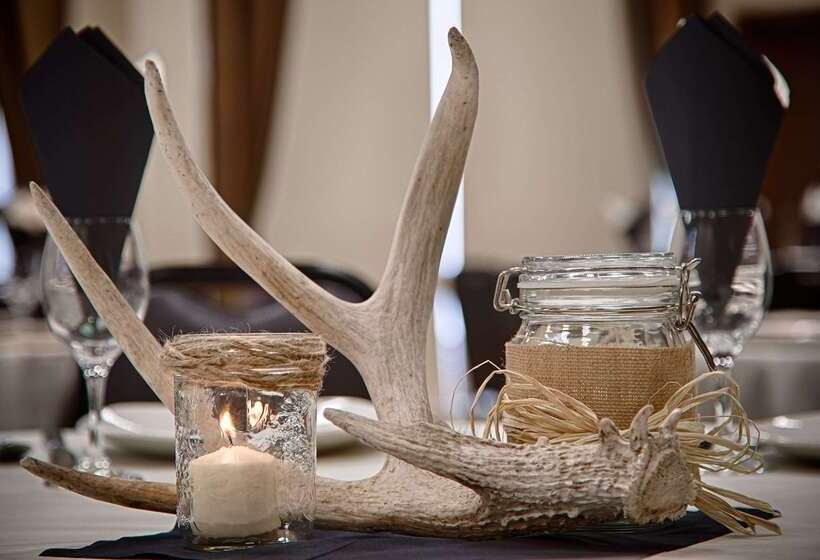 فندق Best Western Plus Chateau Inn Sylvan Lake