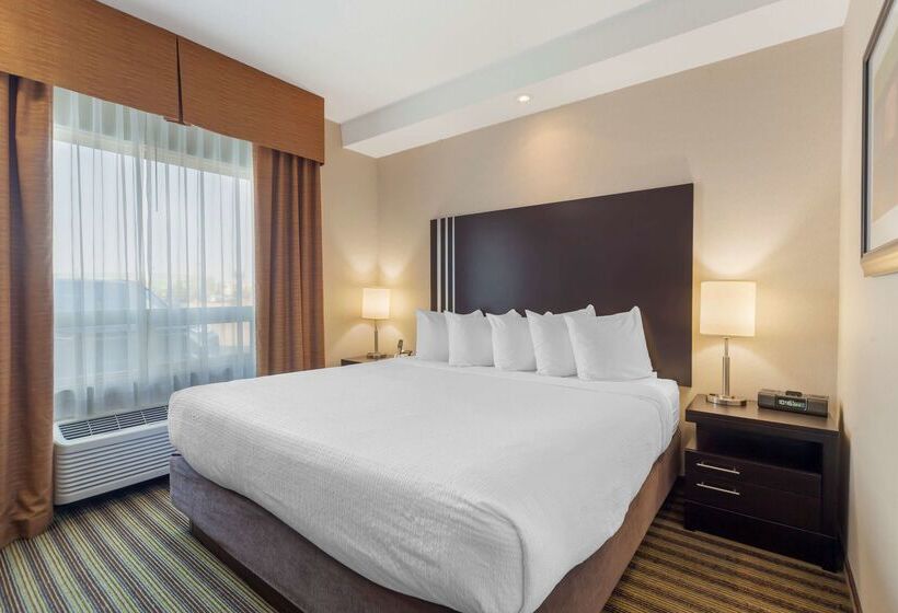 בית מלון כפרי Best Western Plus Sherwood Park Inn & Suites