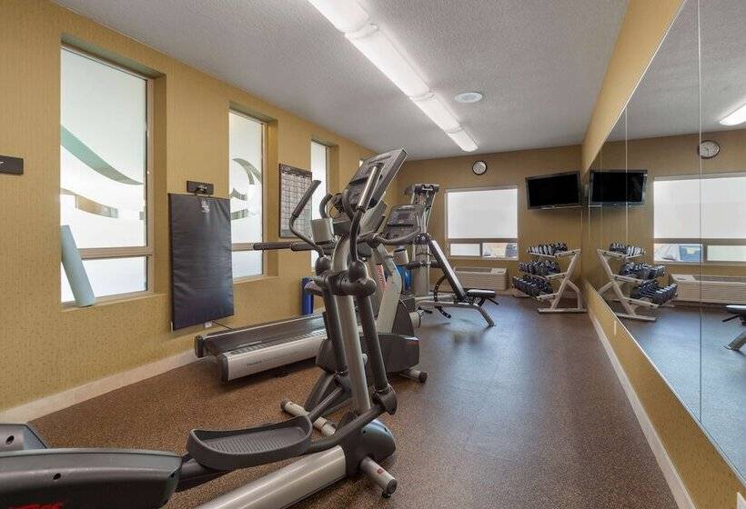 בית מלון כפרי Best Western Plus Sherwood Park Inn & Suites