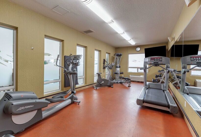 فندق Best Western Plus The Inn At St Albert