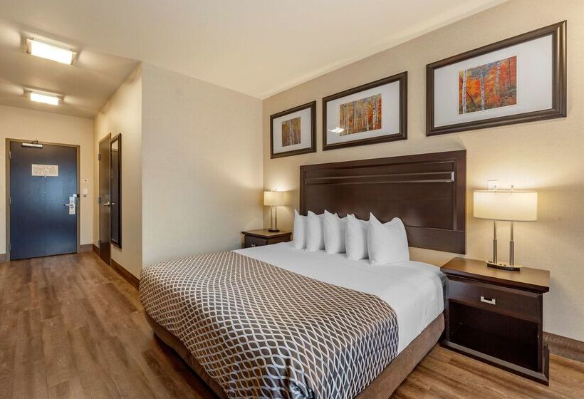 فندق Best Western Plus The Inn At St Albert