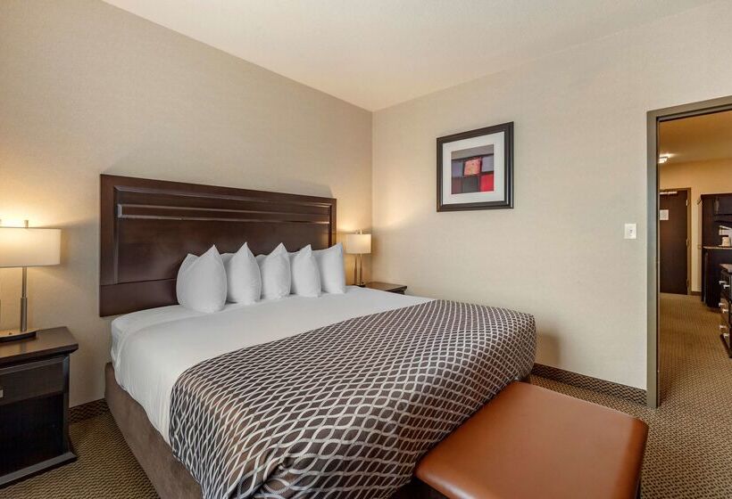 فندق Best Western Plus The Inn At St Albert