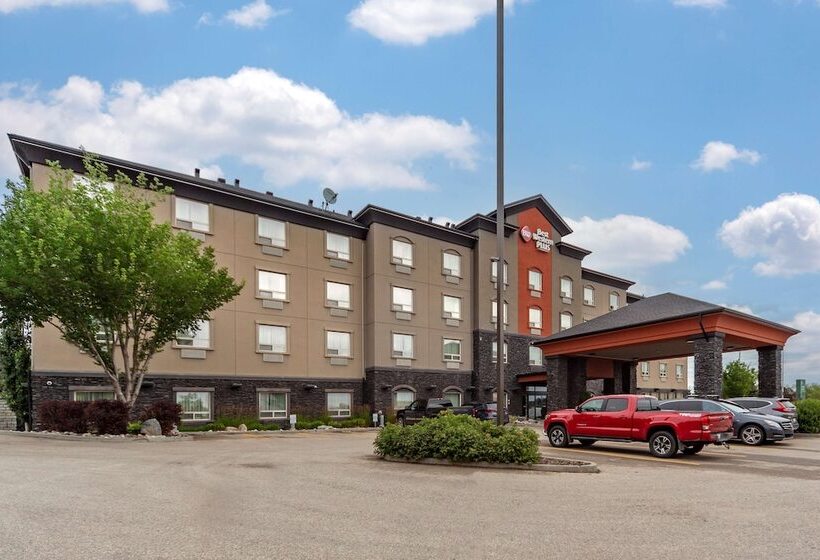 فندق Best Western Plus The Inn At St Albert