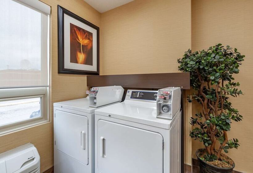 فندق Best Western Plus The Inn At St Albert