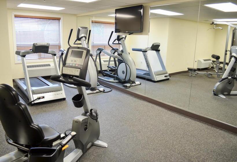 فندق Best Western Thompson