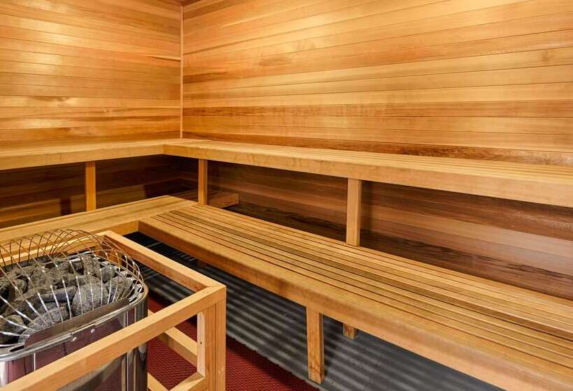 فندق Best Western Thompson