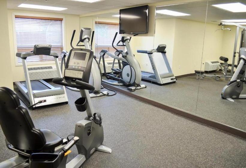 فندق Best Western Thompson