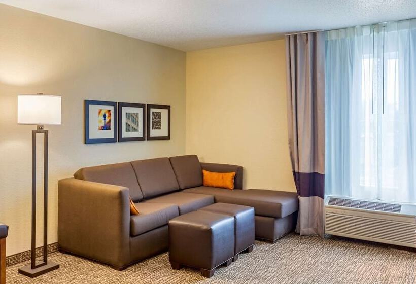 호텔 Comfort Inn Dekalb  Adjacent The University