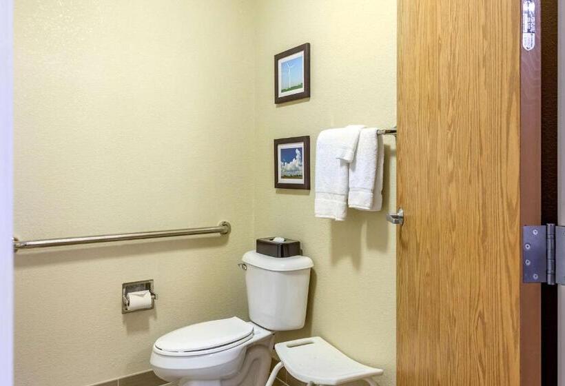 בית מלון כפרי Comfort Inn Dekalb  Adjacent The University