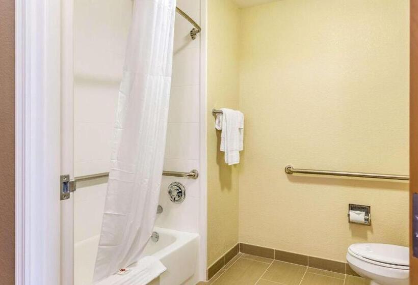 בית מלון כפרי Comfort Inn Dekalb  Adjacent The University