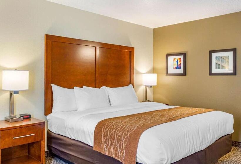 酒店 Comfort Inn Dekalb  Adjacent The University