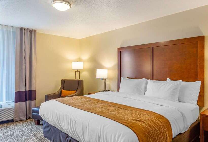 호텔 Comfort Inn Dekalb  Adjacent The University