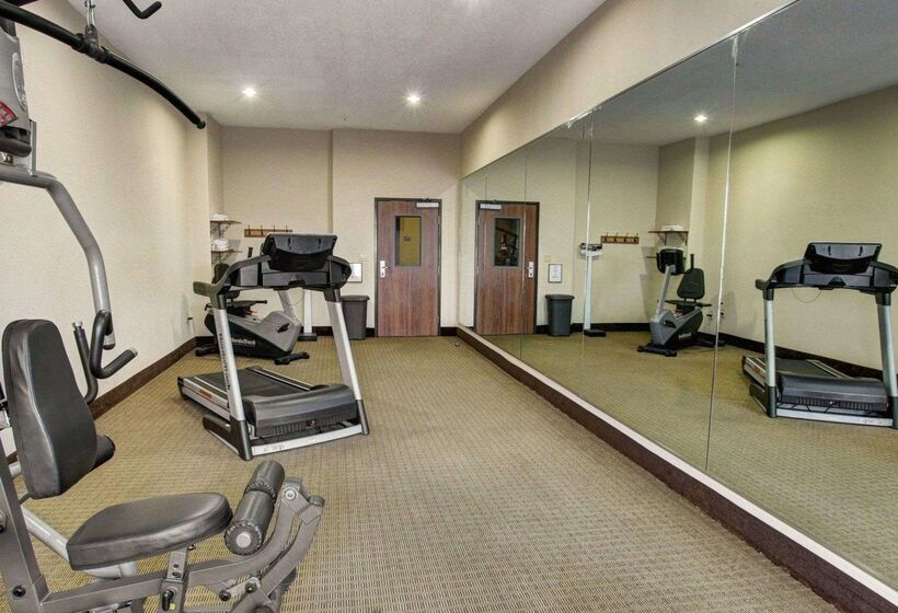 فندق Comfort Inn & Suites