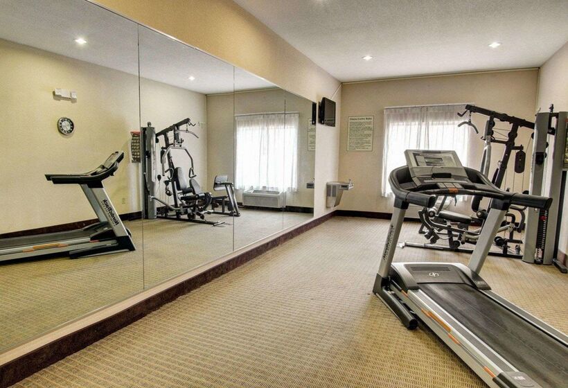 ホテル Comfort Inn & Suites